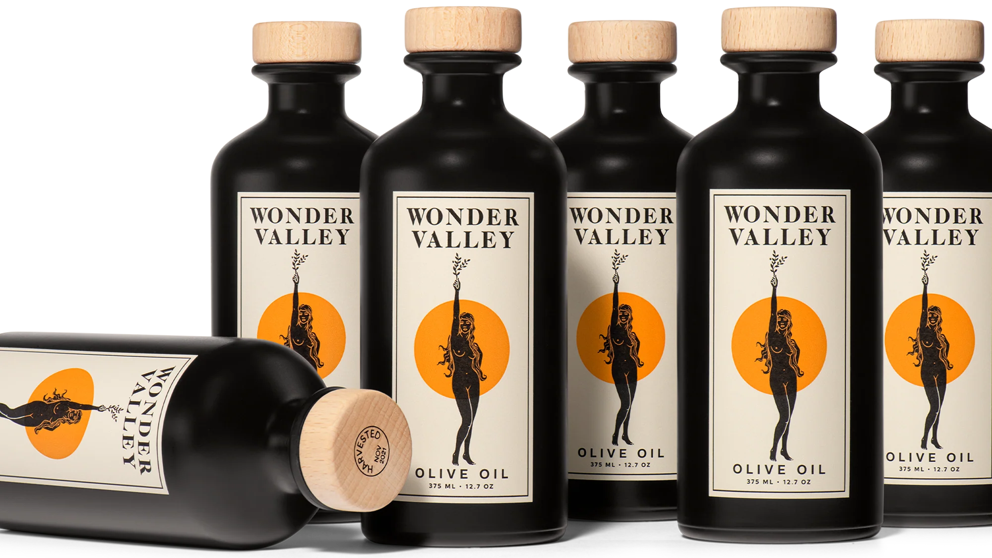 Olive Oil Case - Image 5